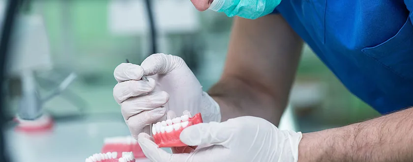 Dentures treatment and replacement teeth model